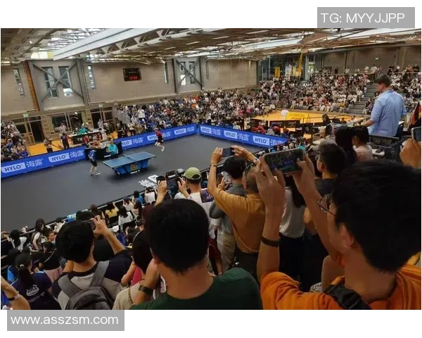 成都乒乓球队个人能力变革引发热议助力竞技水平提升