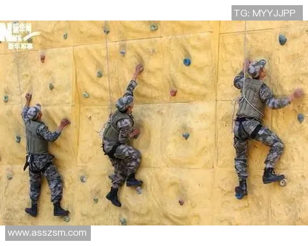 深圳攀岩队反击赛季回顾：挑战与成长的双重考验