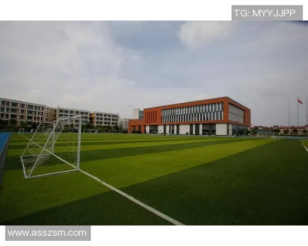 西安网球队在钻石联赛中的战术表现与未来发展潜力分析