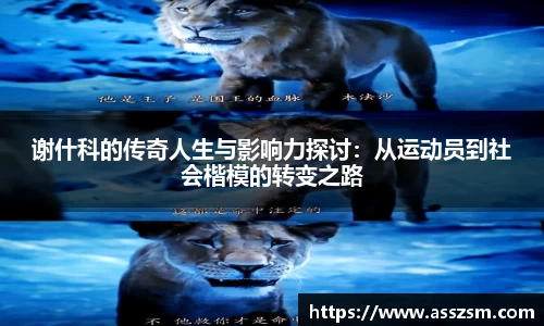 谢什科的传奇人生与影响力探讨：从运动员到社会楷模的转变之路