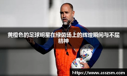 易游体育